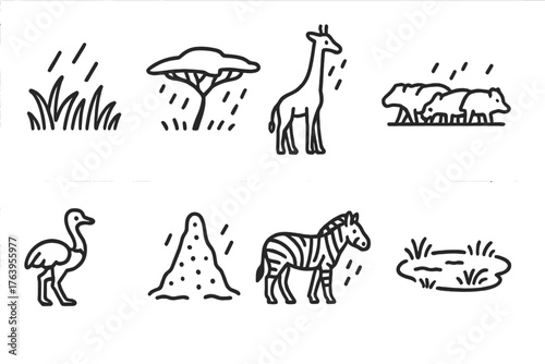 Rainy Veld Icons. Line style icons of Rainy Veld: Wet Grass, Acacia Tree, Giraffe, Herd, Ostrich, Termite Mound, Zebra, Small Pond