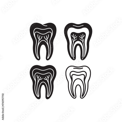 Dental Anatomy root canal concept, Vector Illustration Healthy Teeth Diagram Outline Set