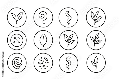 Tea Leaves Icons. Line style round vector icons of Tea Leaves and Varieties: Green Tea Leaf, Black Tea Curl, Oolong Twist, White