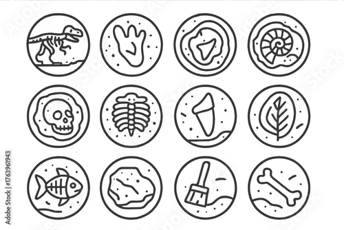 Fossil Icons Collection. Line style icons of fossils in round shape: dinosaur skeleton, fossilized footprint, spiral shell fossil,