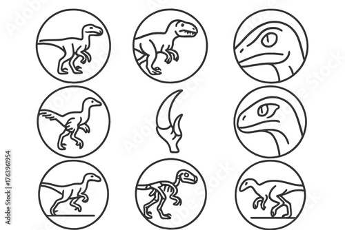 Raptors Line Art Icons. Line style icons of raptors and predators in round shape: Velociraptor, Allosaurus, Deinonychus, feathered