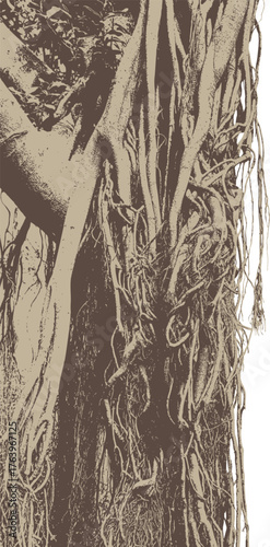 Vector banner with a realistic tree, banyan or ficus, with roots and branches in a gothic style. Scary, magical, fairytale like, and mystical. Suitable for Halloween party design. No ai