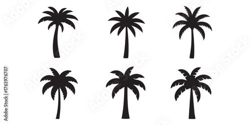 stylized palm tree silhouettes variations vector ai eps png jpeg tropical beach logo and decoration elements