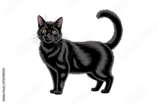 Sleek black cat stands alert, with focused eyes and a poised, elegant posture.