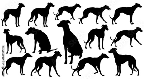 Elegant greyhound silhouettes showcasing grace and athleticism in various dynamic poses, perfect for pet lover designs and sporty themes
