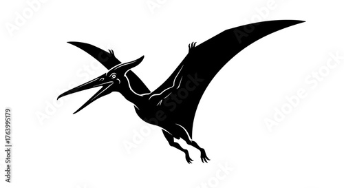 Majestic black pterodactyl soaring through the sky with wings outstretched, a prehistoric silhouette against white.