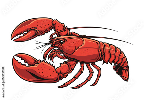Vivid Red Lobster Illustration with Detailed Anatomy and Distinctive Claws.