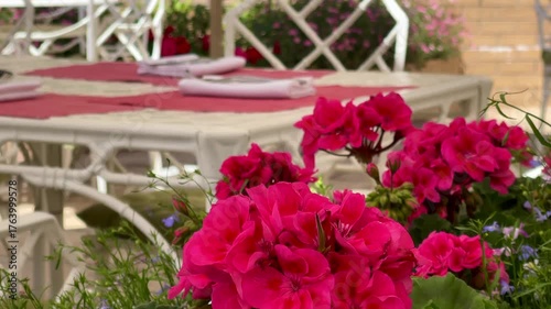 Wallpaper Mural English garden table scene with crisp white chairs, red mats, folded napkins and vivid pink geraniums framing the view in warm afternoon light Torontodigital.ca