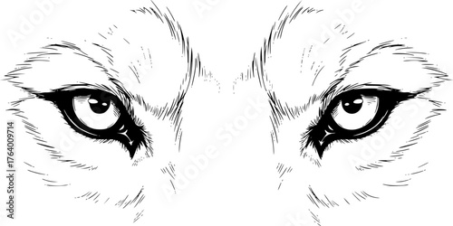 Wolf eyes drawing. This image focuses on wolf eyes, a captivating and intense depiction of the wild canine's gaze, showcasing depth and emotion. Vector sketch line art draw.