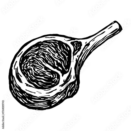 Vintage steak cut illustration vector