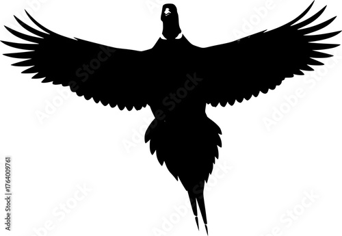 Flying pheasant silhouette. A black silhouette of a pheasant in flight with wings spread wide and a long, elegant tail. Vector clipart black illustration design.