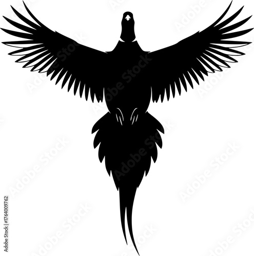 Flying pheasant silhouette. A black silhouette of a pheasant in flight with wings spread wide and a long, elegant tail. Vector clipart black illustration design.