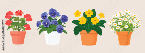 Colorful potted flowers illustration, isolated vector set