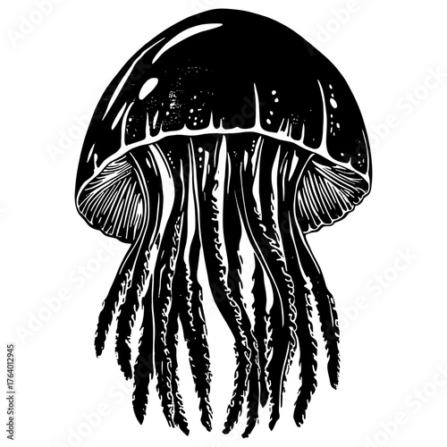 Jelly fish wood block print jellyfish white invertebrate vector