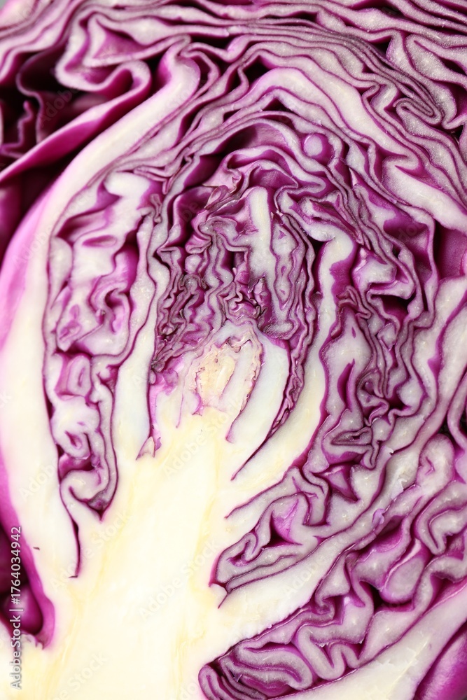 Obraz premium Cut red cabbage as background, closeup view