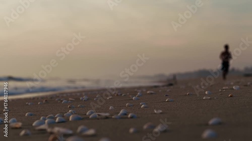 早朝の海で戯れる人々