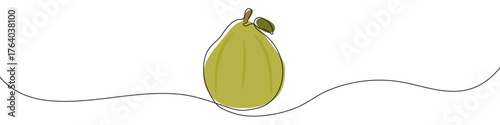 Guava in one line art style. Drawing of a whole guava with a leaf, with editable black stroke and color on white background. Vector illustration.