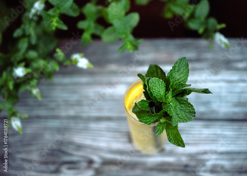 Summer Drink 