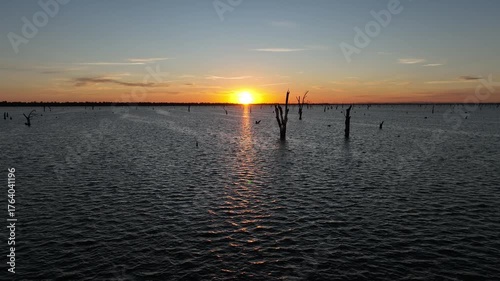 Aerial Sunrise over Lake Mulwala, a man-made reservoir with dead river red gums in the water at Mulwala, NSW, Australia.