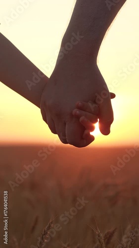 Kid daughter parents dad holding hands in wheat field in sun, close-up. Daddy son extend their hands to each other on nature walk. Happy family. Family trust. Dad walks with his kid summer sun sky