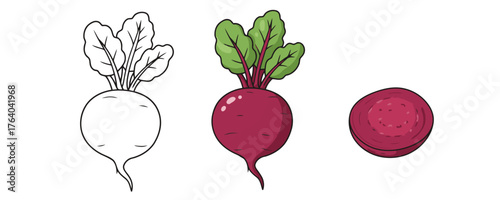 Three beetroots in cartoon style: outline, full color, and cross-section slice on a clean white background