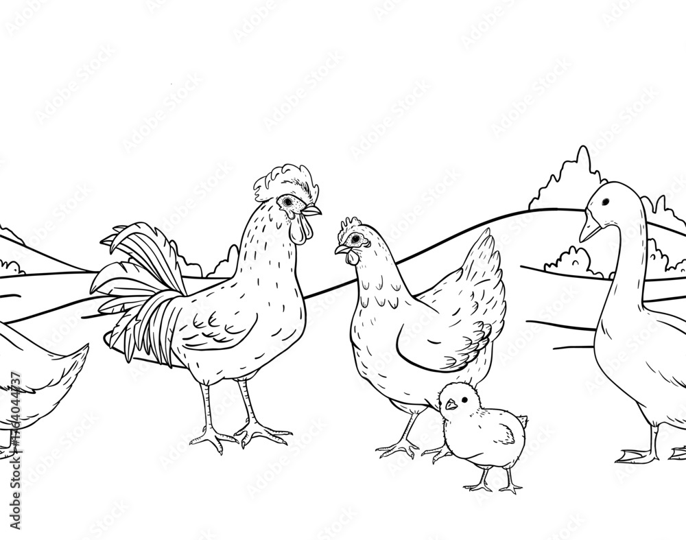 Fototapeta premium Ink line art seamless border of countryside farm with hens and rooster walking across an open rural field. Ideal for packaging, textile prints, children books, wrapping rustic branding projects.