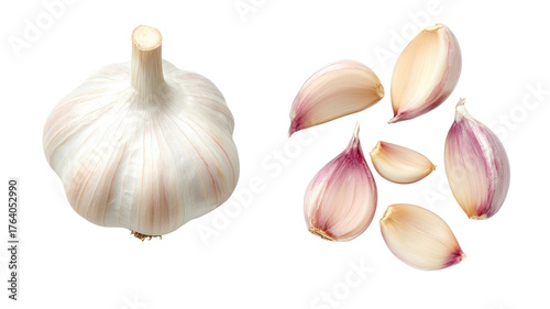 Whole garlic bulb and cloves isolated on transparent background