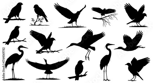 Dynamic collection of bird silhouettes showcasing flight, perching, and graceful poses in various natural settings