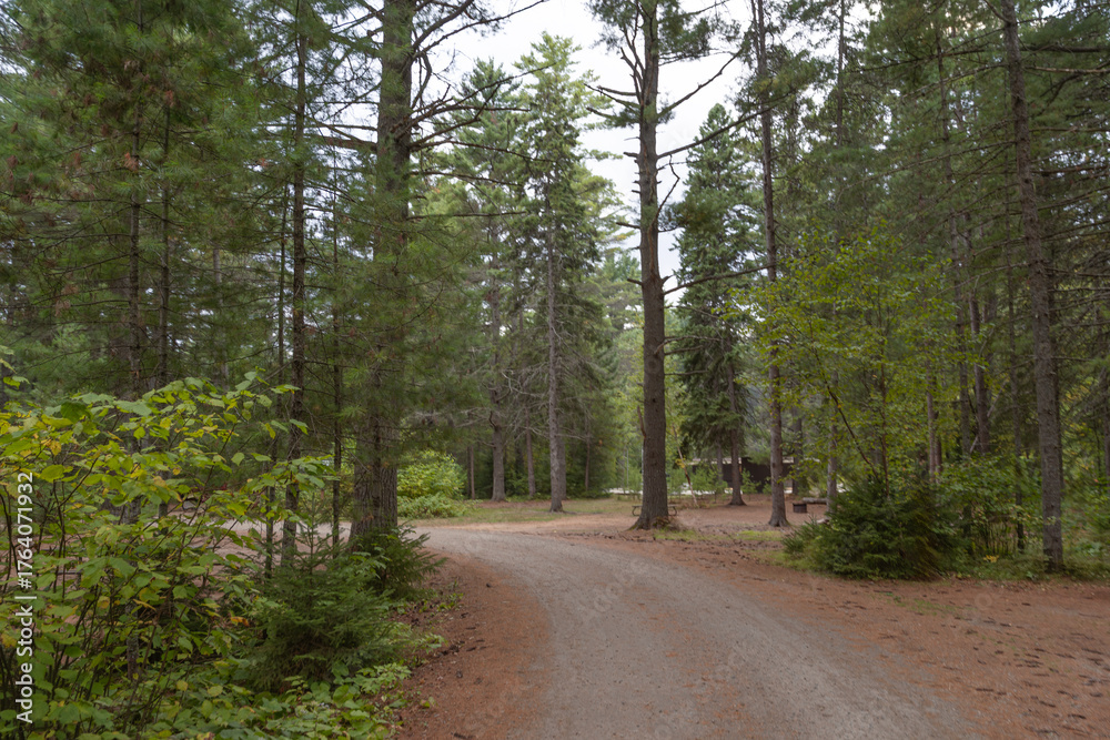 Fototapeta premium Peaceful walk in Algonquin Park surrounded by tall trees and natural wilderness.