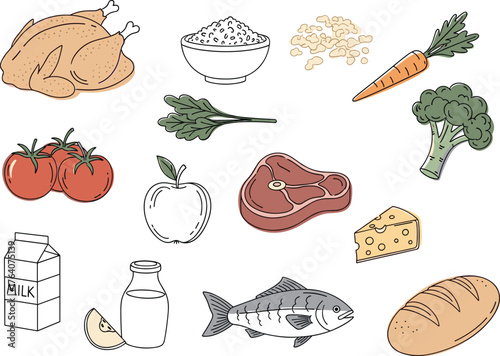 Hand-Drawn Line Art Food Group Collection with Organic Color Fill
