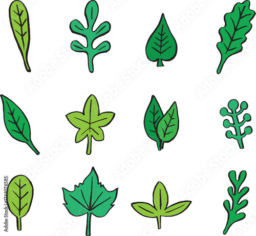 Sketches variety of green leaves