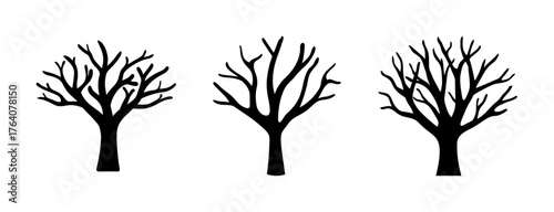 Three bare deciduous trees in winter silhouette showcasing intricate branch structures symbolizing nature and seasons