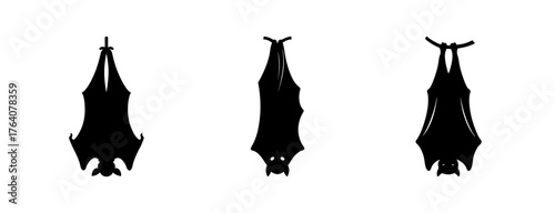Three hanging bats silhouettes chiroptera mammals nocturnal creatures animal graphics for halloween designs