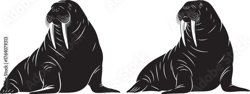 Two walruses sitting together silhouette