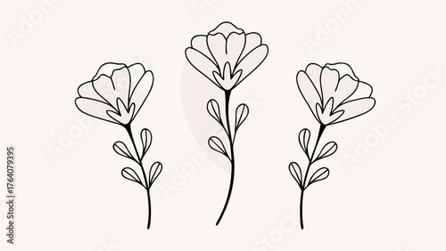 Elegant floral design element for invitations and cards, perfect for adding a touch of spring beauty to any project, originally a scalable vector graphic