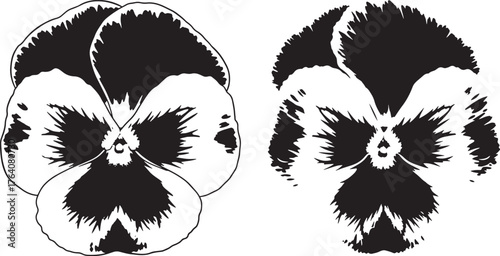Two detailed black and white pansy flower heads silhouette