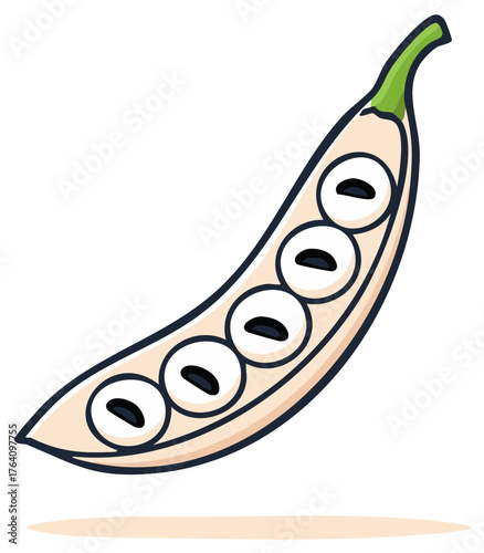 Open black-eyed pea pod cartoon vector illustration showing the seeds inside
