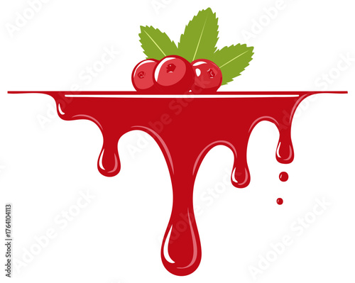 Cranberry Juice or Jelly Drips with Berries and Mint Leaf Illustration