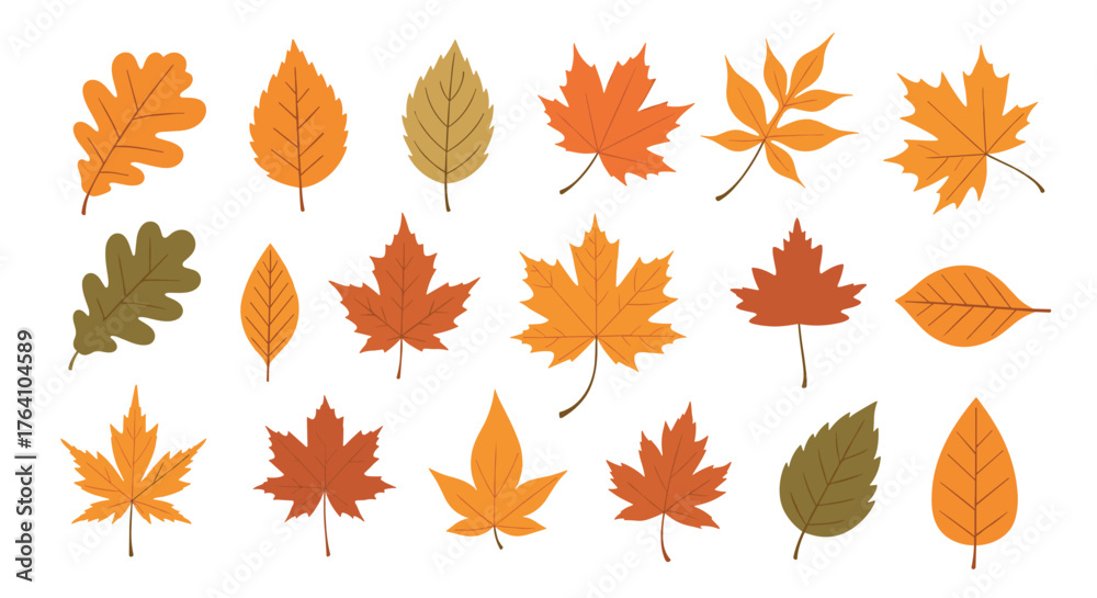 Fototapeta premium Autumn Leaves Collection: A Vibrant Display of Fall Foliage.