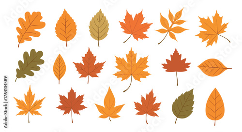 Autumn Leaves Collection: A Vibrant Display of Fall Foliage.