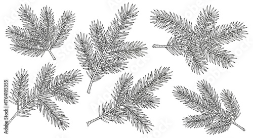 Vector art of set of handdrawn fir tree branches