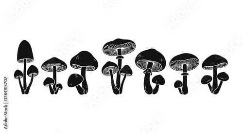 Vector art of a collection of black silhouette illustrations of various mushrooms and toadstools, isolated on a, ideal for nature and autumn themes