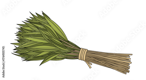 Fresh green leaves tied together with natural twine.