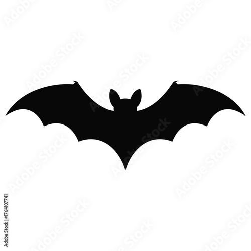 bat and bats