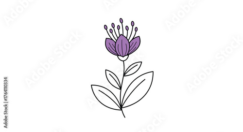 Elegant Purple Flower Illustration on White Background Simple Botanical Art.