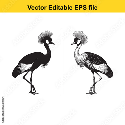 Vector art of black and white illustration of a crowned crane in silhouette and detailed drawing