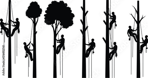 Tree climbers silhouette vector illustration for arborist work 67
