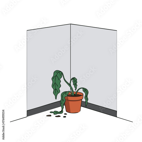 Sad, wilted houseplant in a terracotta pot in the corner of a room.