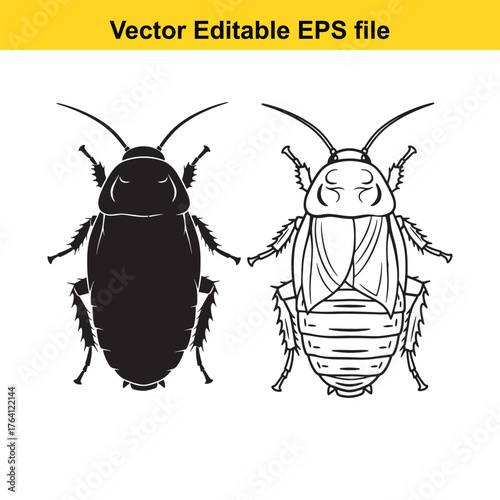Vector art of two cockroaches, one black silhouette and one detailed line drawing