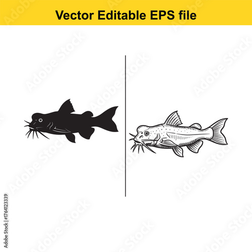 Vector art of two stylized catfish, one black silhouette and one detailed line drawing